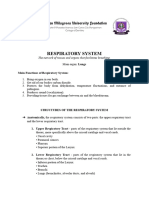 Respiratory System Handout