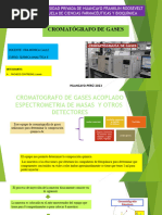 Cromatógrafo de Gases