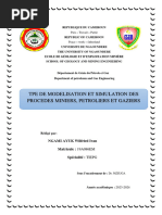 TPE Simulationdesreservoirs