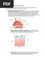 Anatomía Tema 2 - El Aparato Respiratorio