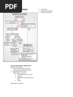 Bacterial and Viral Meningitis