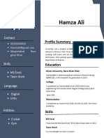 Hamza Ali: Profile Summary