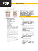 Transes - Assessing Abdomen