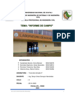 Informe de Campo (Zapatas)