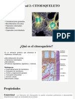 Unidad 2 - Citoesqueleto