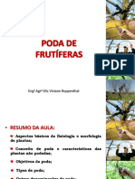 Aula Poda de Frutíferas (Geral)