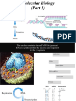 Mira Molecular Biology Part1