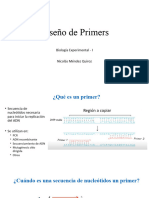 Diseño de Primers