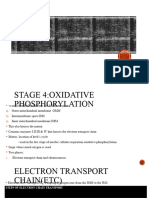 Aerobic Respiration Stage 4 To A. Daily Life