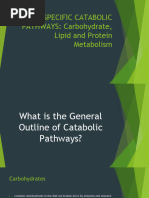 Specific Catabolic Pathways