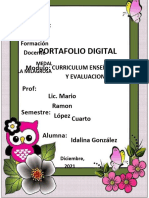 Portafolio de Curriculum