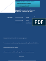 4.1 Introduccion Al Sistema Nervioso