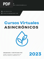 Brochure - Cursos Asincrónicos