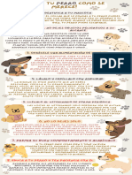 Infografía Curiosidades Sobre Los Perros Natural Beige