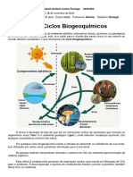 3 Série-BIO-Ciclos Biogeoquímicos, Bioacumulação.