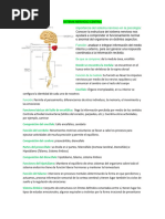 Sistema Nervioso Central Resumido