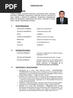 CV Mejia Oncoy Jorge - Inei