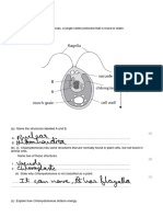 Classification and Cells Q C