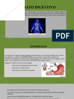 Esofago - Estomago, ID, IG Higado y Pancreas