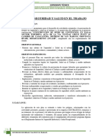 Estudio de Seguridad y Salud en El Trabajo