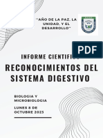 Reconocimiento Del Sistema Digestivo