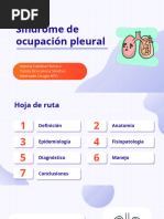 Síndrome de Ocupación Pleural