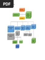 Organigrama Tarea Introcuccion