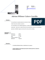 Curriculum Adrian Actualizado