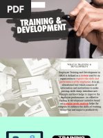 Chapter 6 Training Development