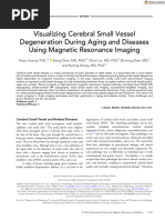 Visualizing Cerebral Small Vessel Degeneration During Aging and Diseases Using2