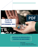 Plan de Trabajo Noviembre Ist Murrugarra