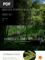 Forest and Wildlife