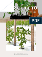 Your Complete Guideto Growing Hydroponic Tomatoes