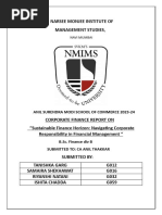 Sustainable Finance - Presentation