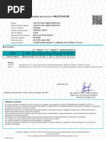 Informe de Ensayos - 061123-0130