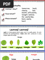 Leaf Description - PPT For Children..adverb Recap