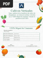 Proyecto Hongos Comestibles - Champiñones