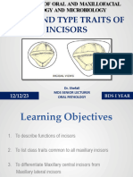 Type and Arch Traits of Incisors