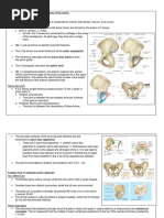 GRDA Intro Bony Pelvis