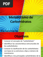 Metabolismo de Carbohidratos