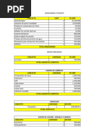 Cuadro Financiero Piña Deshidratada