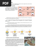 0-Origen de La Vida