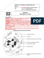 Chapitre1 Cycle Cellulaire