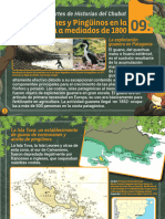 9 Cormoranes y Pingüinos Isla Tova Mediados 1800-9