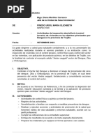 Modelo de Informe - Inspector-1