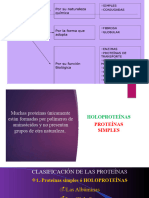 5 Presentación Clasificación de Preoteínas