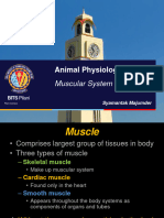 SM Skeletal Muscle Slides