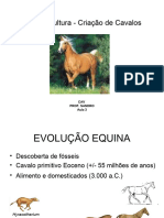 Aula 3 Equino