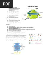 Aparato de Golgi