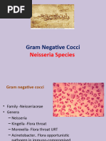 Gram Negative Cocci